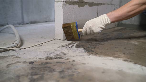 24/7 Emergency Crawl Space Encapsulation experts in Mecosta, MI
